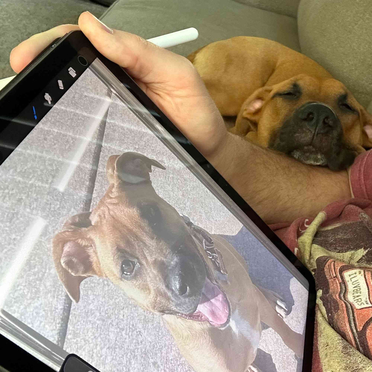 A person holds a tablet and digital pencil showing a close-up photo of a brown dog, with a real dog sleeping on their arm in a couch setting.