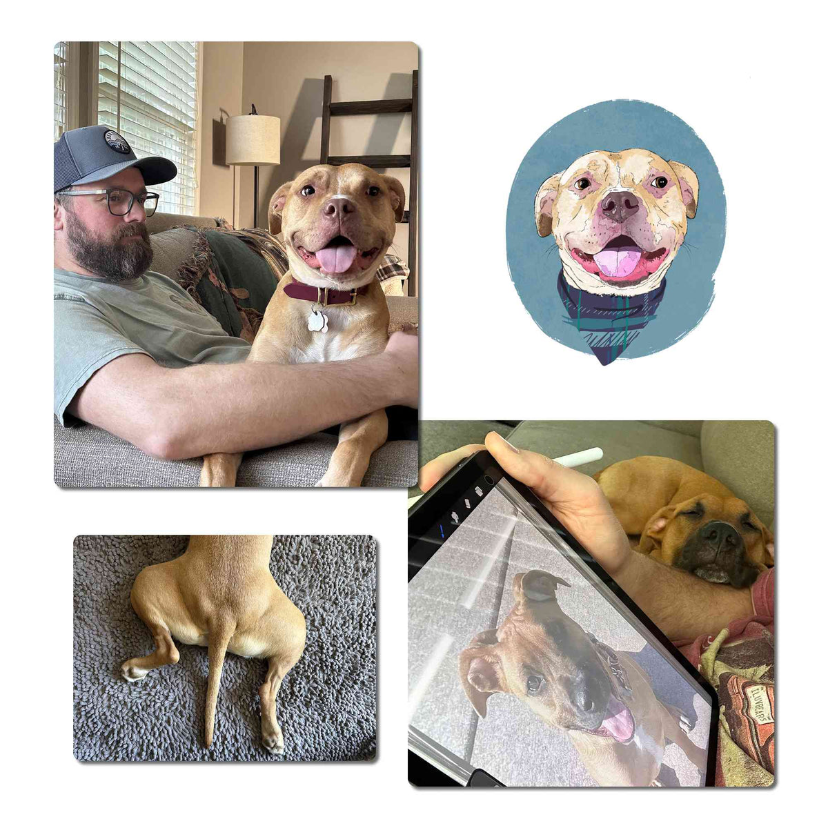 A collage showing a tan dog in multiple real-life settings, including sitting on a couch with a man, lying on a carpet splooting, someone holds a digital drawing table and pencil while a dog lays asleep on their arm, alongside a painted portrait of the dog wearing a plaid bandana.